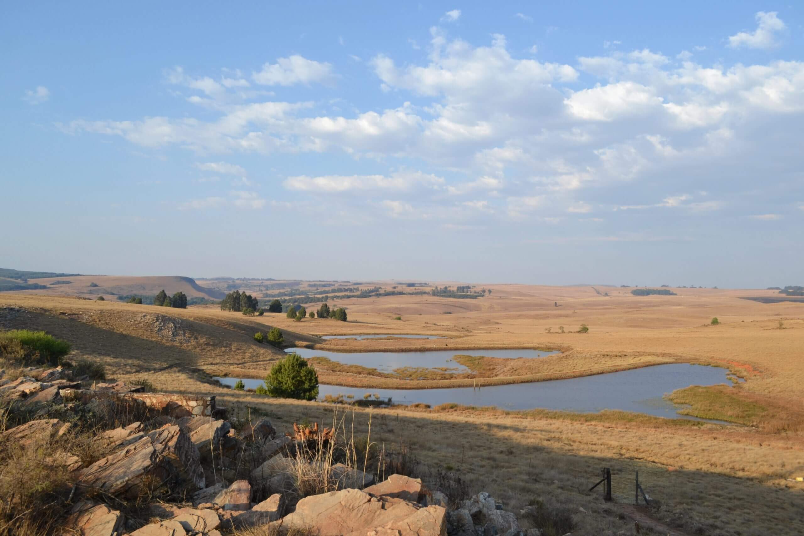 overview landscapes