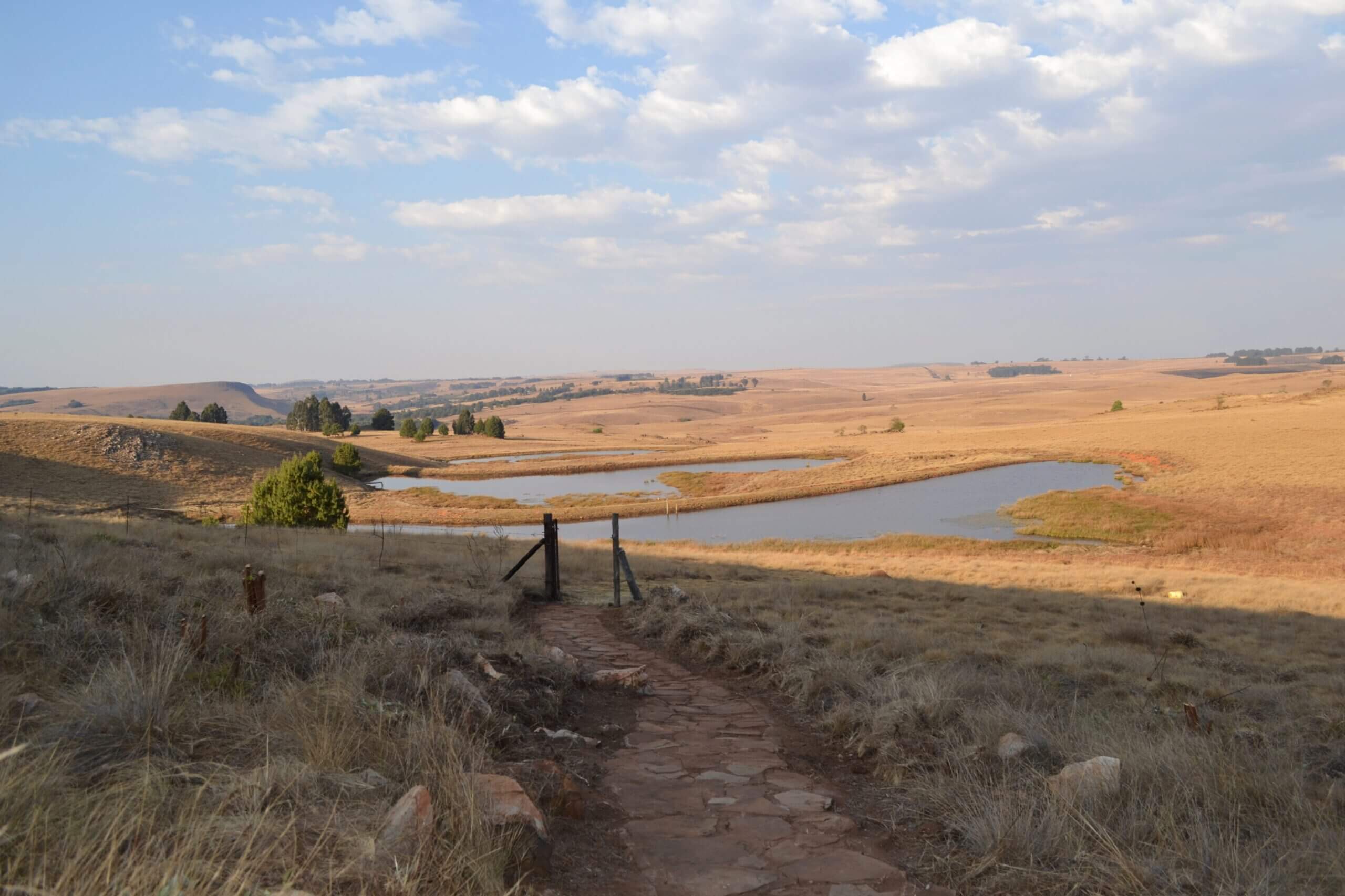 pathway to dams