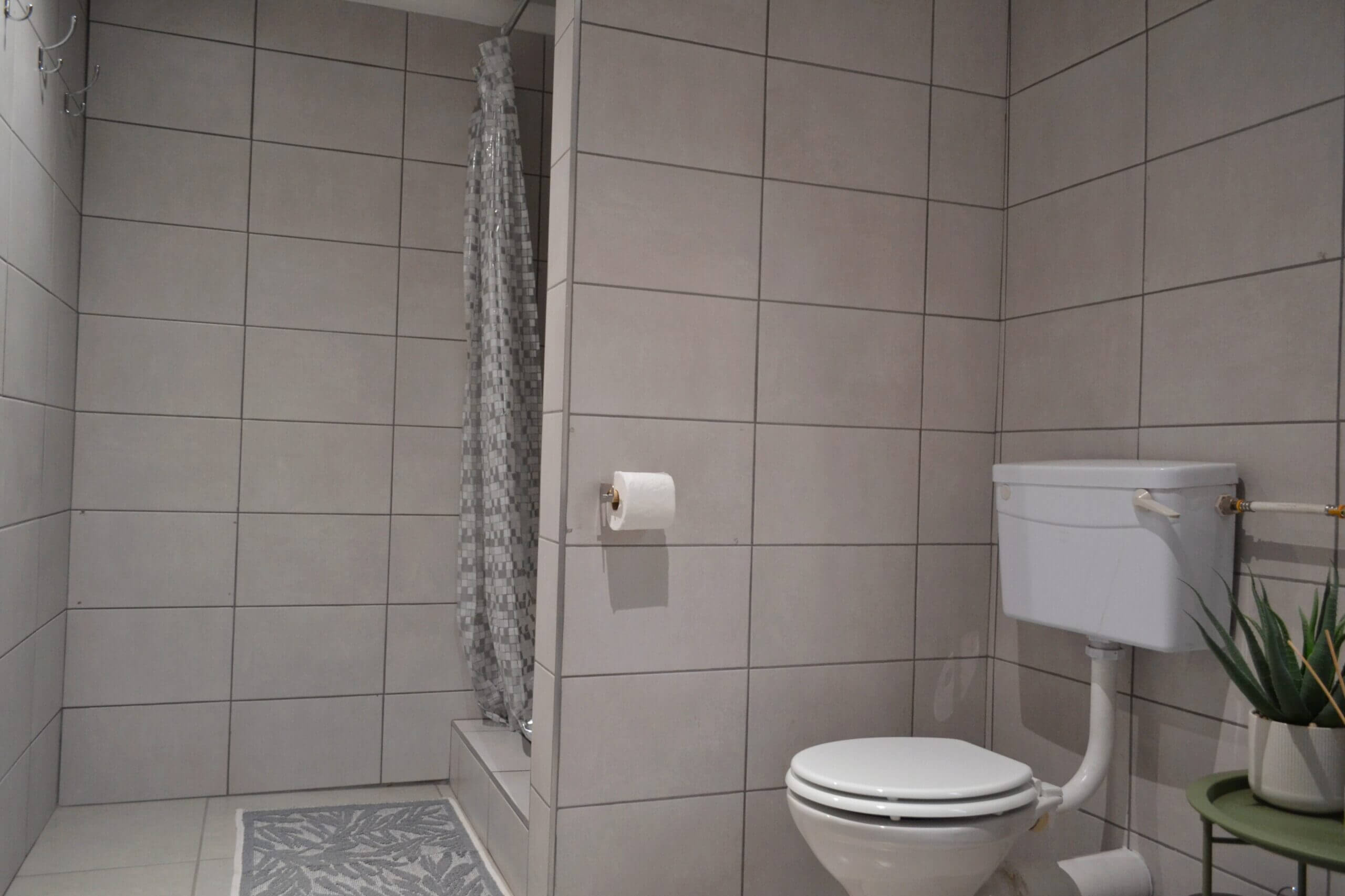 shower and toilet