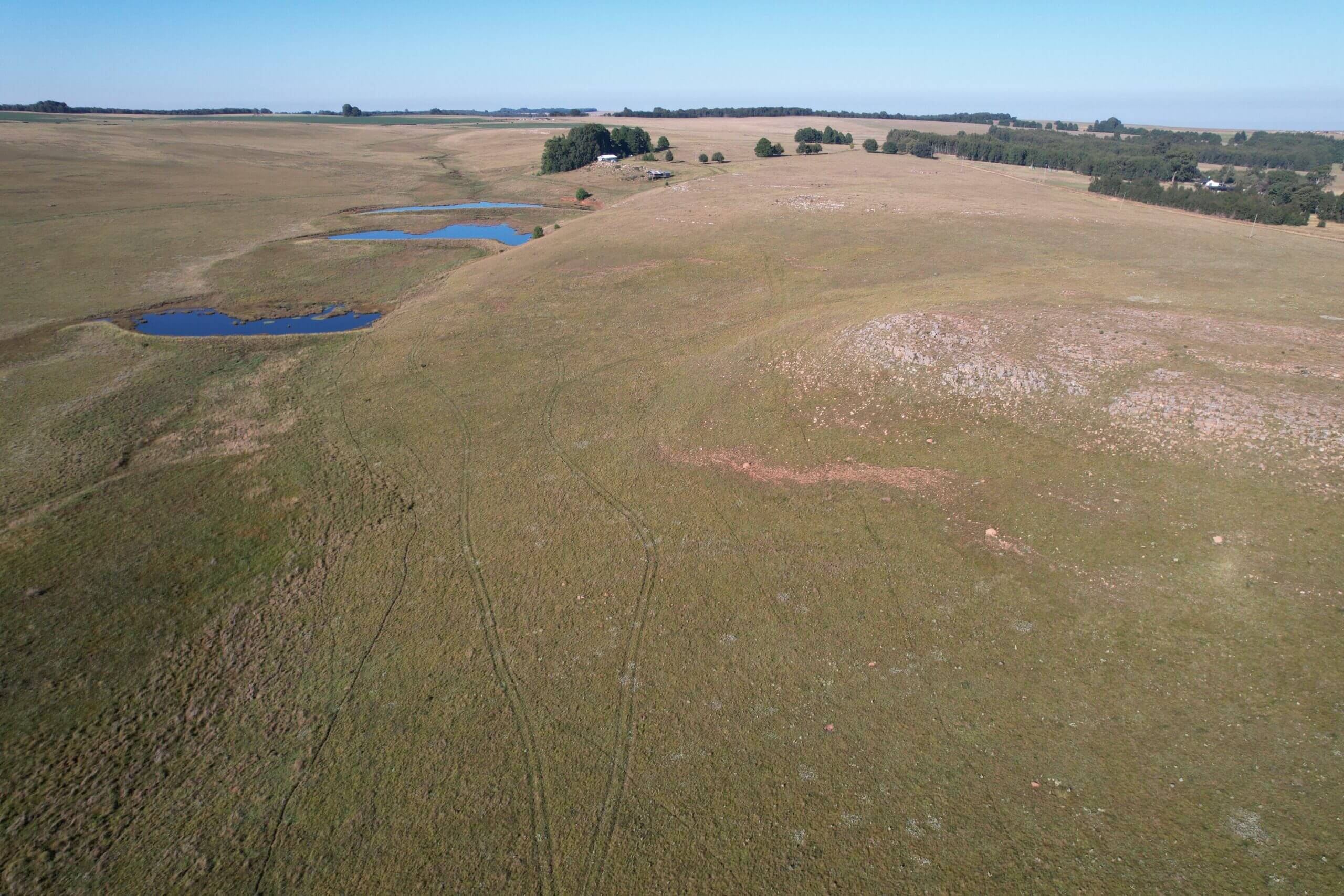 meadow mist farm drone image
