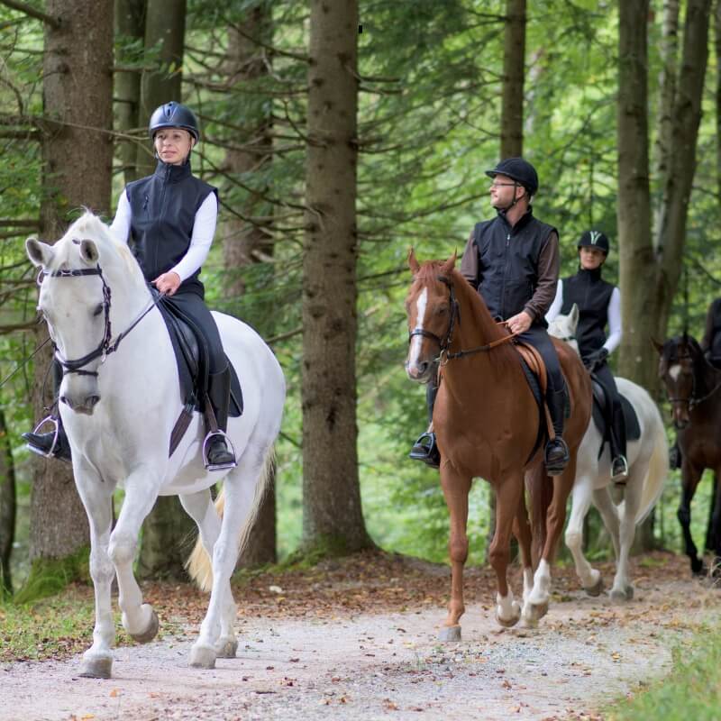 horse riding