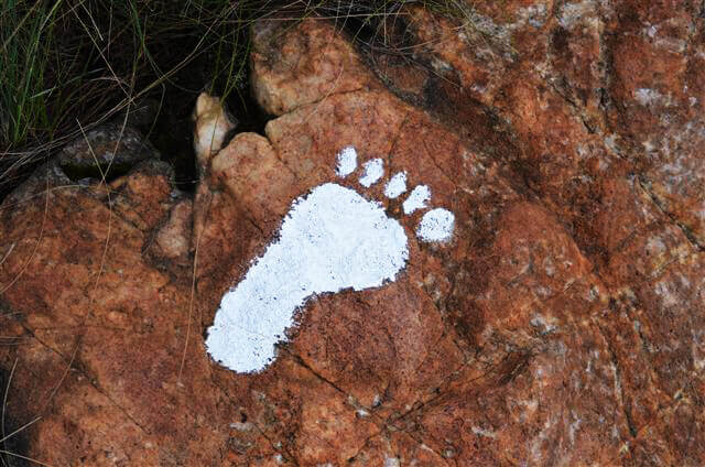 feet